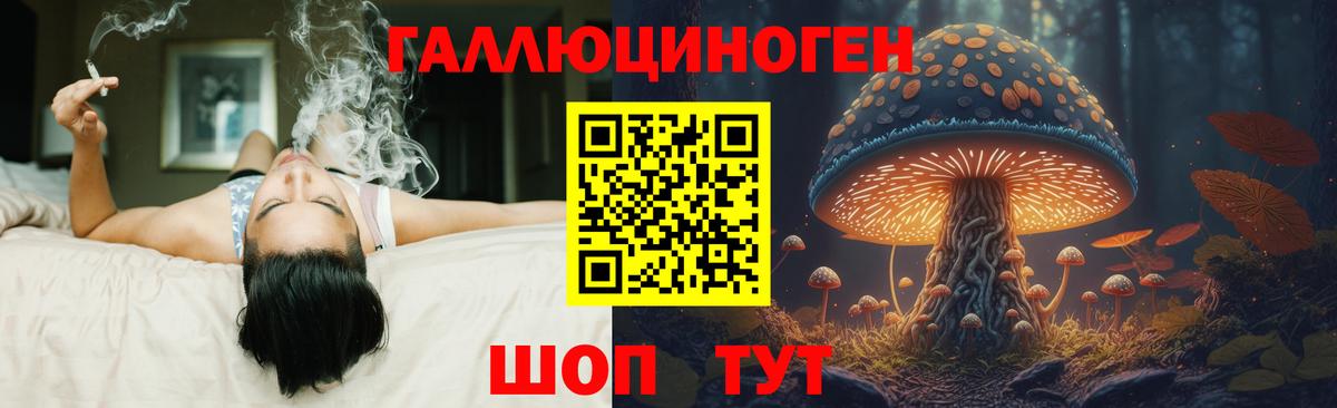 Тольятти  Псилоцибиновые грибы GOLDEN TEACHER  Вход с VPN  Галлюциногенные грибы MAGIC MUSHROOMS 
